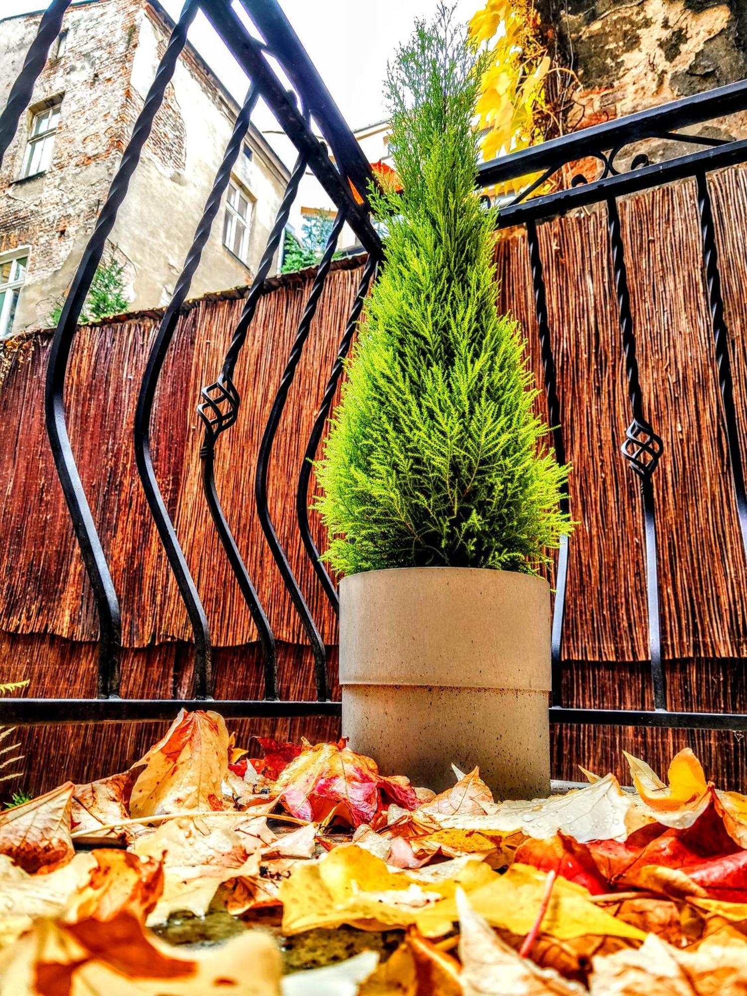 Z-1 Krakow Old Town O&P Apartfamily Eksteriør billede